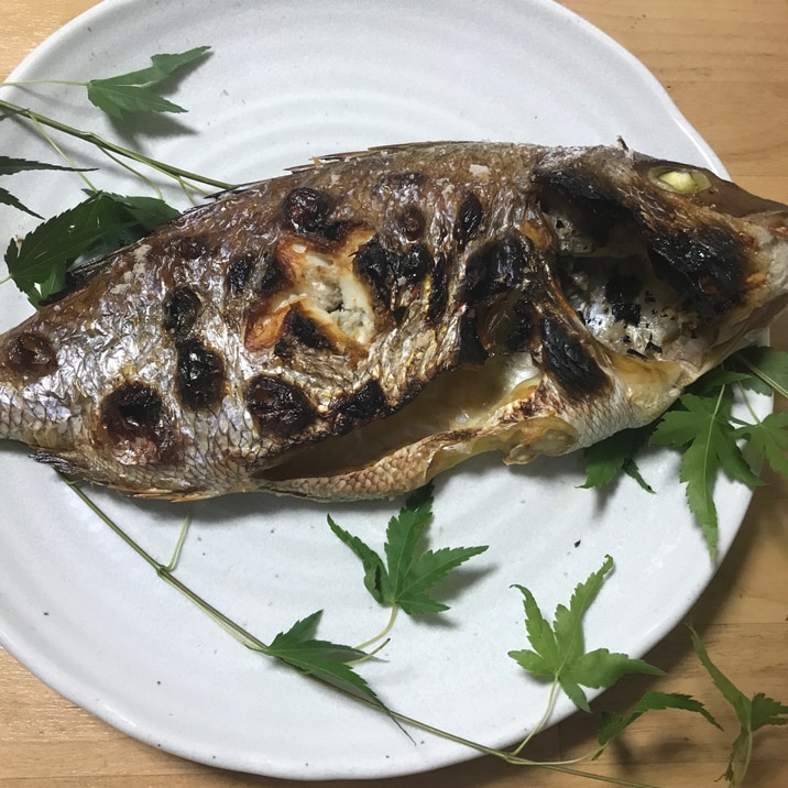 おいわいに、丸ごと一匹鯛の塩焼き